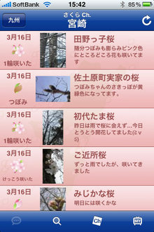 hanami_app_2.jpg
