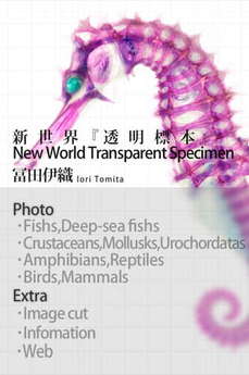 app_book_transparent_specimen_7.jpg