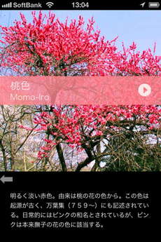 app_ref_japanese_colorful_data_7.jpg