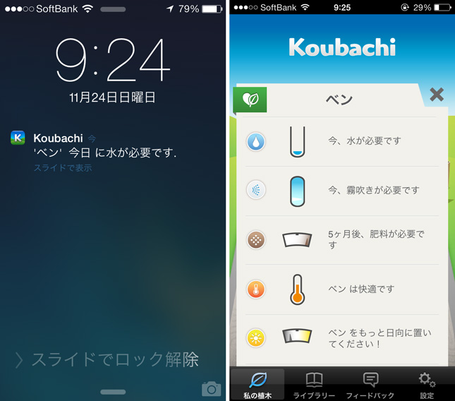 koubachi_plant_sensor_iphone_review_14