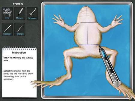 app_edu_frog_3.jpg
