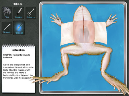 app_edu_frog_4.jpg