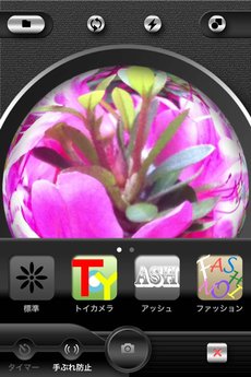 app_photo_symmetry_3.jpg