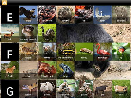 app_edu_mini_adventures_animals_7.jpg