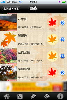 app_photo_kouyou_camera_3.jpg