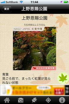 app_photo_kouyou_camera_8.jpg