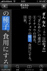 app_ref_daijin_sale_2.jpg